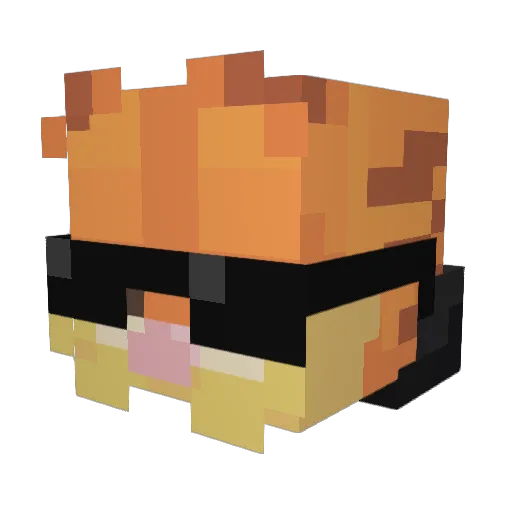ElfishOsprey122 Minecraft avatar head, 3D render