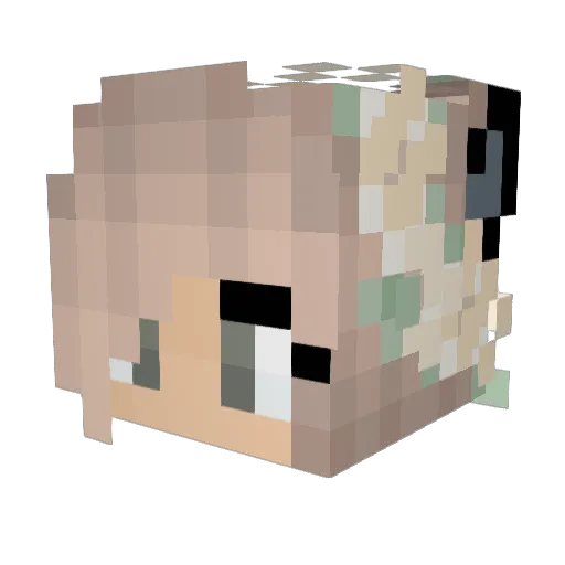 Elfwolf29 Minecraft avatar head, 3D render