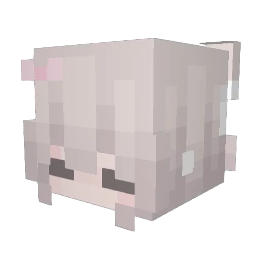 Elgaloki Minecraft avatar head, 3D render