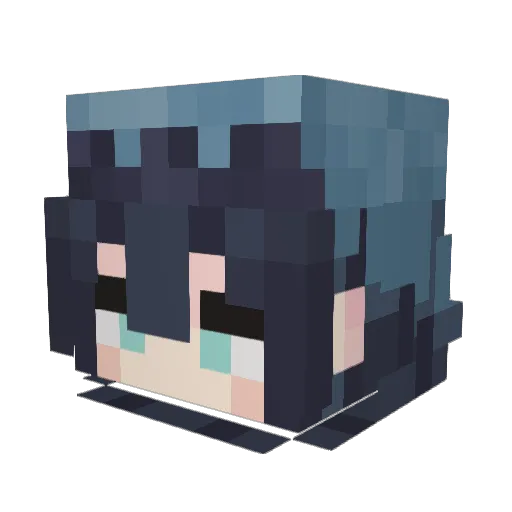 Eli0311 Minecraft avatar head, 3D render