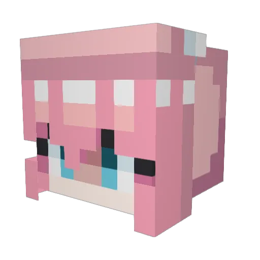Eli13245 Minecraft avatar head, 3D render