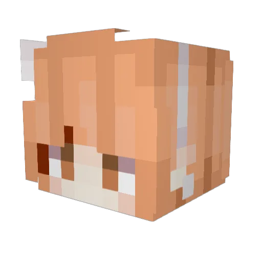 Eli14R Minecraft avatar head, 3D render