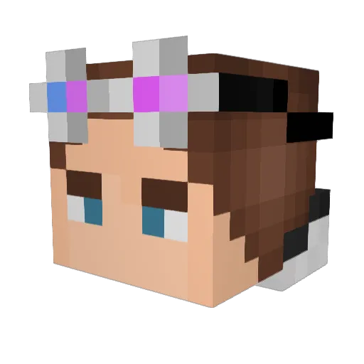 Eli1609 Minecraft avatar head, 3D render