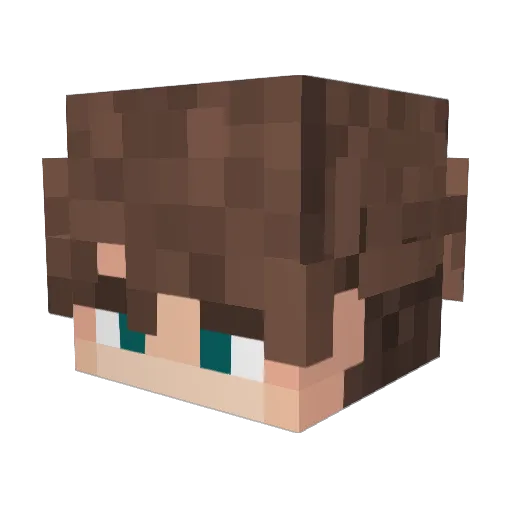 Eli240_TV Minecraft avatar head, 3D render