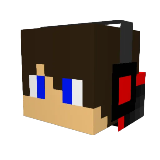 Eli2456 Minecraft avatar head, 3D render