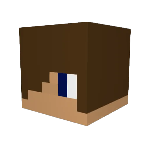 Eli39229 Minecraft avatar head, 3D render