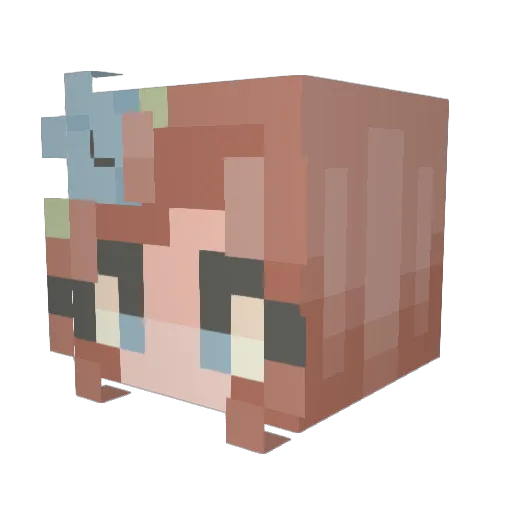 EliGames98 Minecraft avatar head, 3D render
