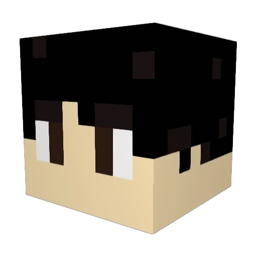 EliJames1211 Minecraft avatar head, 3D render