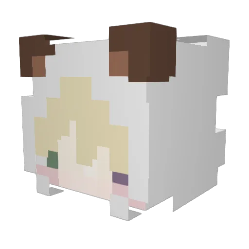 Eli_19_ Minecraft avatar head, 3D render