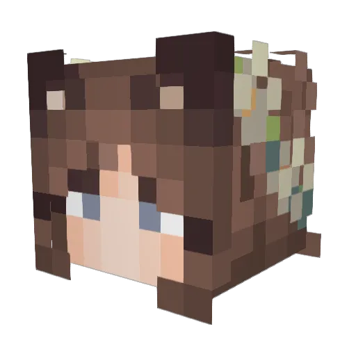 Eli_Fox95 Minecraft avatar head, 3D render