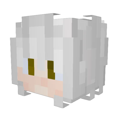 Eli_Is_Dumb Minecraft avatar head, 3D render