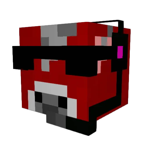 Eli_Letch Minecraft avatar head, 3D render
