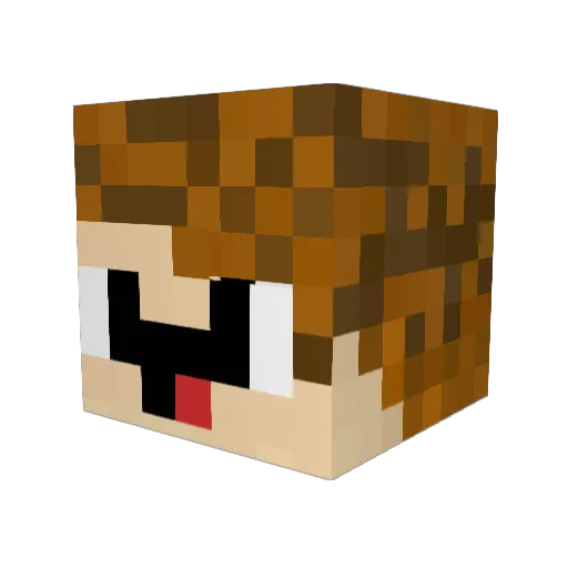 Eli_Play Minecraft avatar head, 3D render