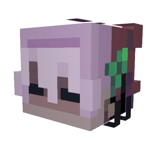 Eli_The_Weirdo Minecraft avatar head, 3D render