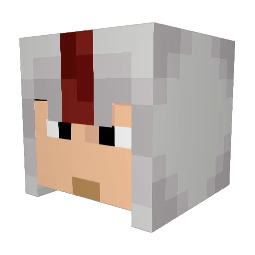 Eli_Troxell Minecraft avatar head, 3D render