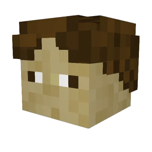 Eli_on_drip Minecraft avatar head, 3D render