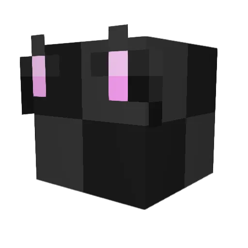 Eli_riggs3068 Minecraft avatar head, 3D render