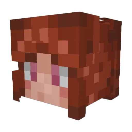 Eliah98 Minecraft avatar head, 3D render
