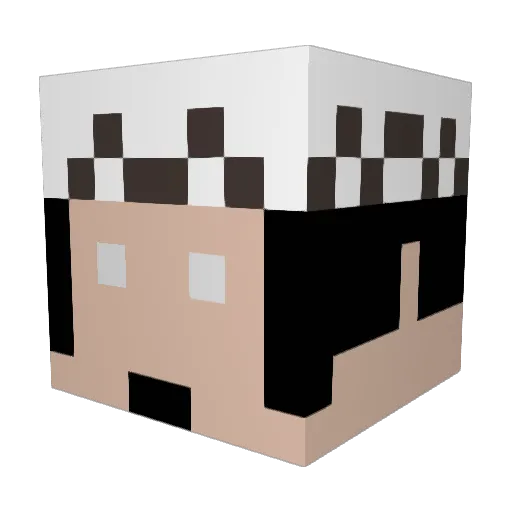 Eliais14 Minecraft avatar head, 3D render