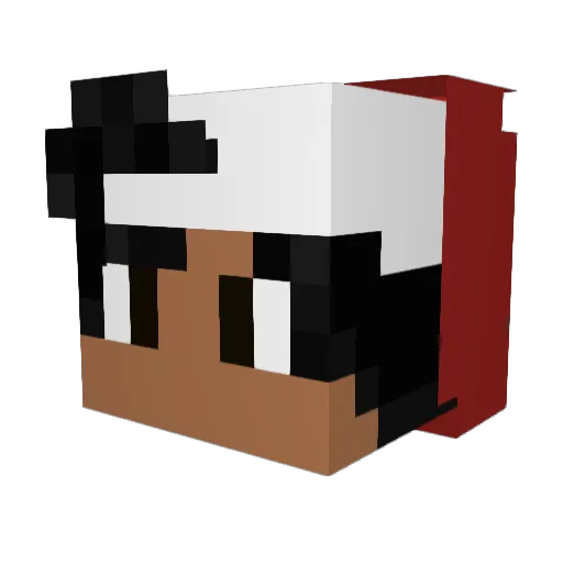 Elian2703 Minecraft avatar head, 3D render