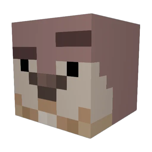 ElianRC Minecraft avatar head, 3D render