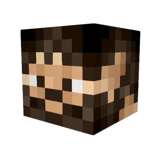 Eliar08 Minecraft avatar head, 3D render