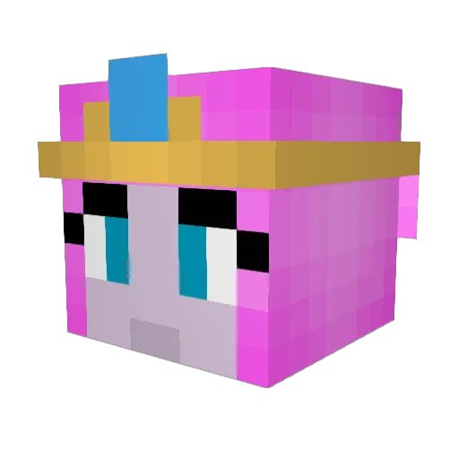 Eliaro14 Minecraft avatar head, 3D render