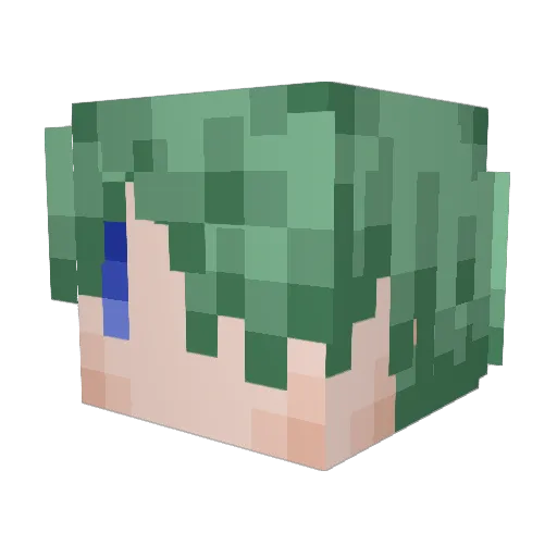 Elias1245 Minecraft avatar head, 3D render