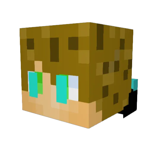 Elias250809 Minecraft avatar head, 3D render