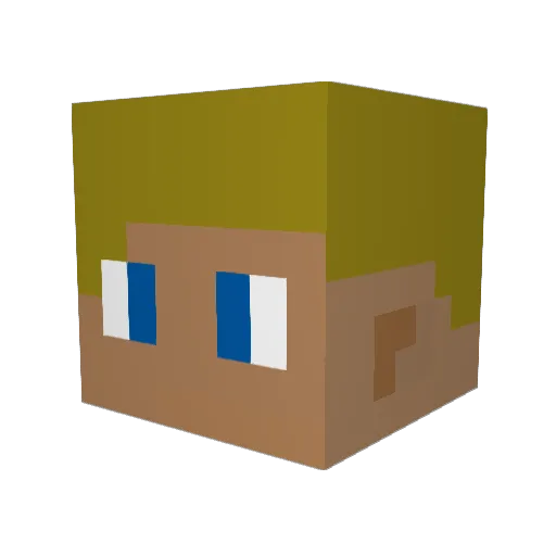 Elias737 Minecraft avatar head, 3D render