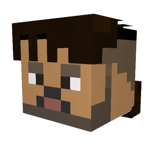 Elias790 Minecraft avatar head, 3D render