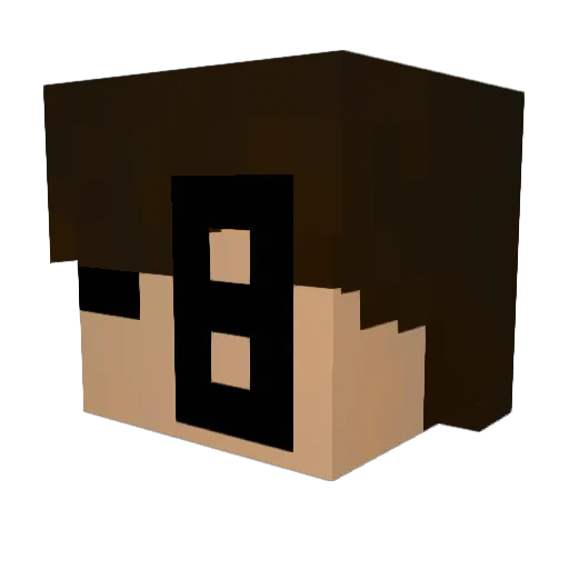 Elias8ekin Minecraft avatar head, 3D render