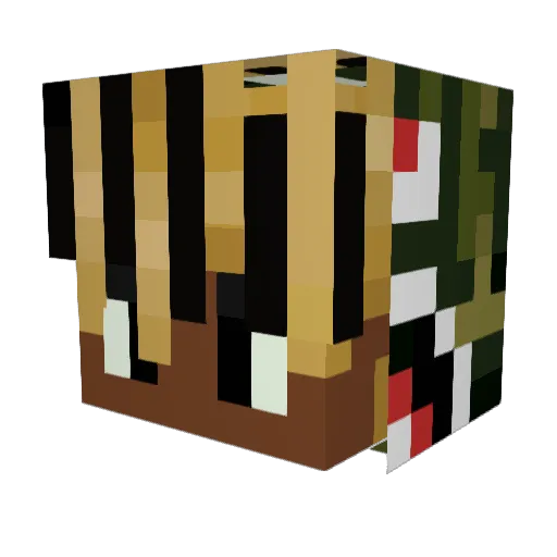 EliasCraftYT Minecraft avatar head, 3D render