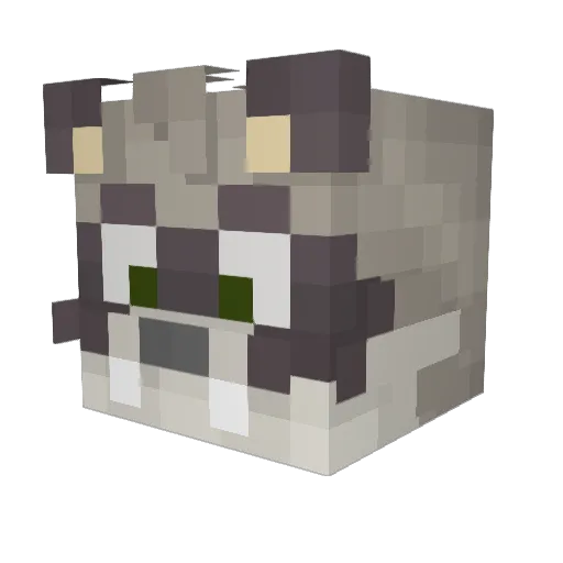 EliasRaccon Minecraft avatar head, 3D render