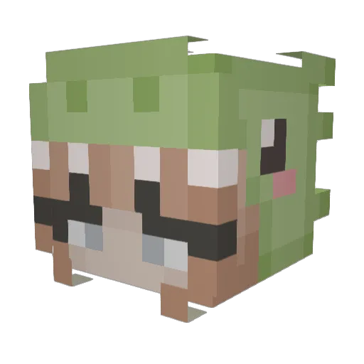 EliasTheDude Minecraft avatar head, 3D render