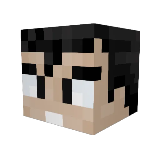 Elias_0607 Minecraft avatar head, 3D render