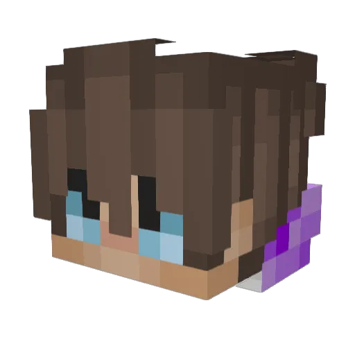 Elias_XP_Farm Minecraft avatar head, 3D render