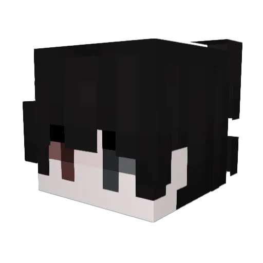 Eliauk131 Minecraft avatar head, 3D render