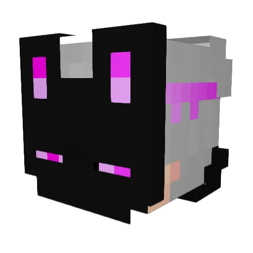 Eliax69 Minecraft avatar head, 3D render