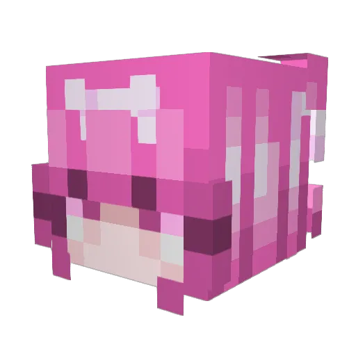 EliazBlessed Minecraft avatar head, 3D render