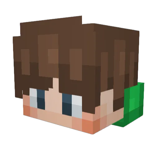 Elibr0 Minecraft avatar head, 3D render
