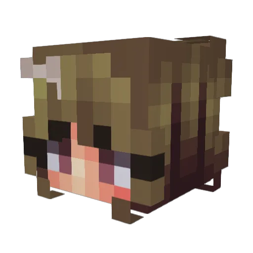 Eliciagamer2021 Minecraft avatar head, 3D render