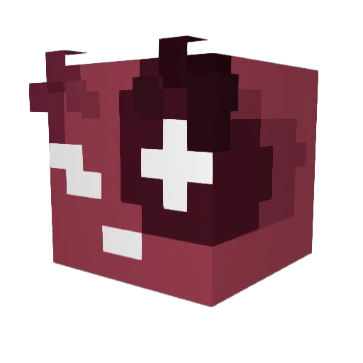 Eliclipesbo6 Minecraft avatar head, 3D render