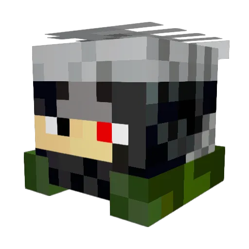 Elid345 Minecraft avatar head, 3D render