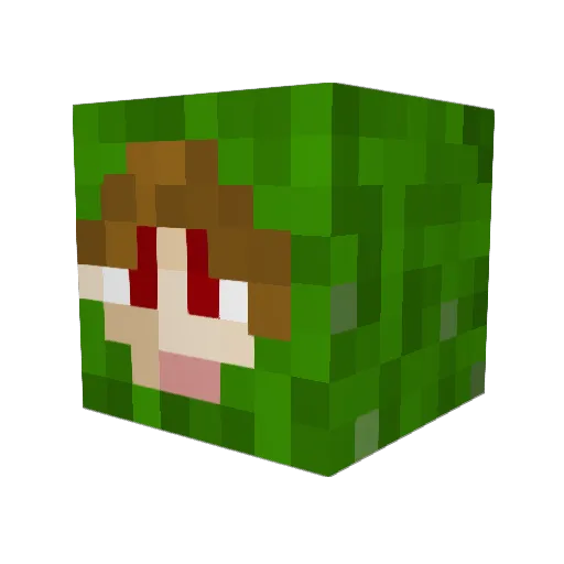 Elightgamer69 Minecraft avatar head, 3D render