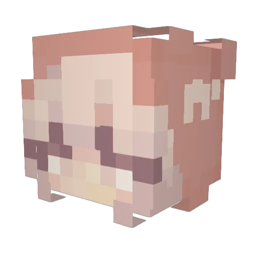 Eligida Minecraft avatar head, 3D render