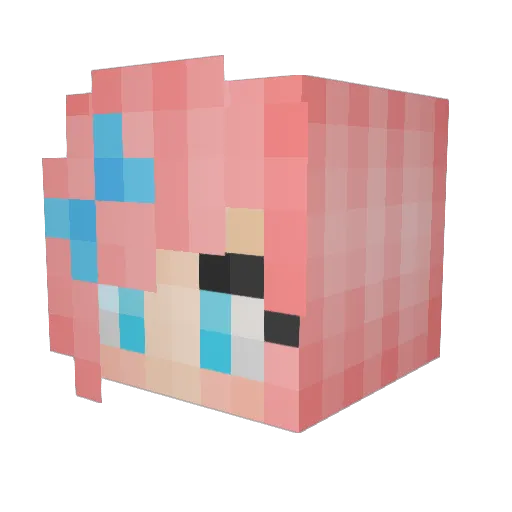 Elii_17 Minecraft avatar head, 3D render