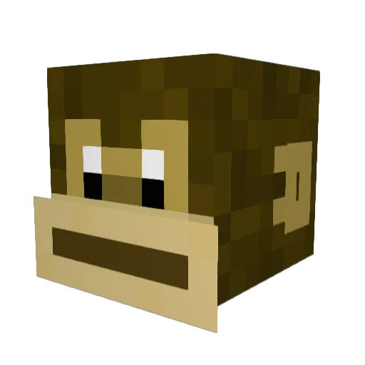 Elii_7 Minecraft avatar head, 3D render