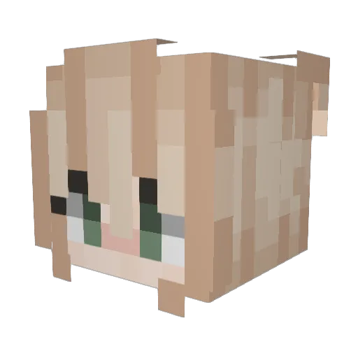 Eliifer Minecraft avatar head, 3D render
