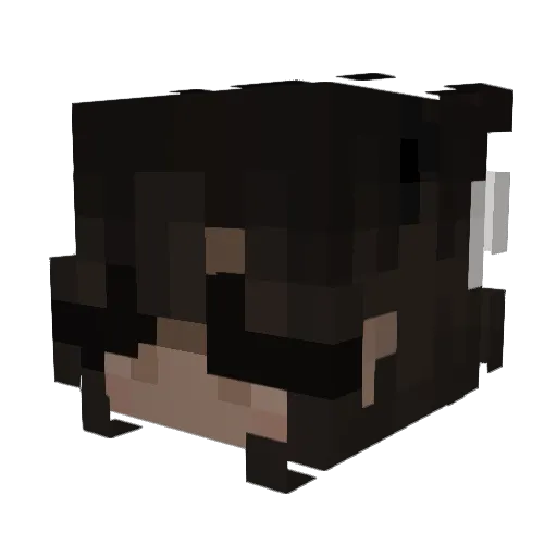 Eliis_ Minecraft avatar head, 3D render